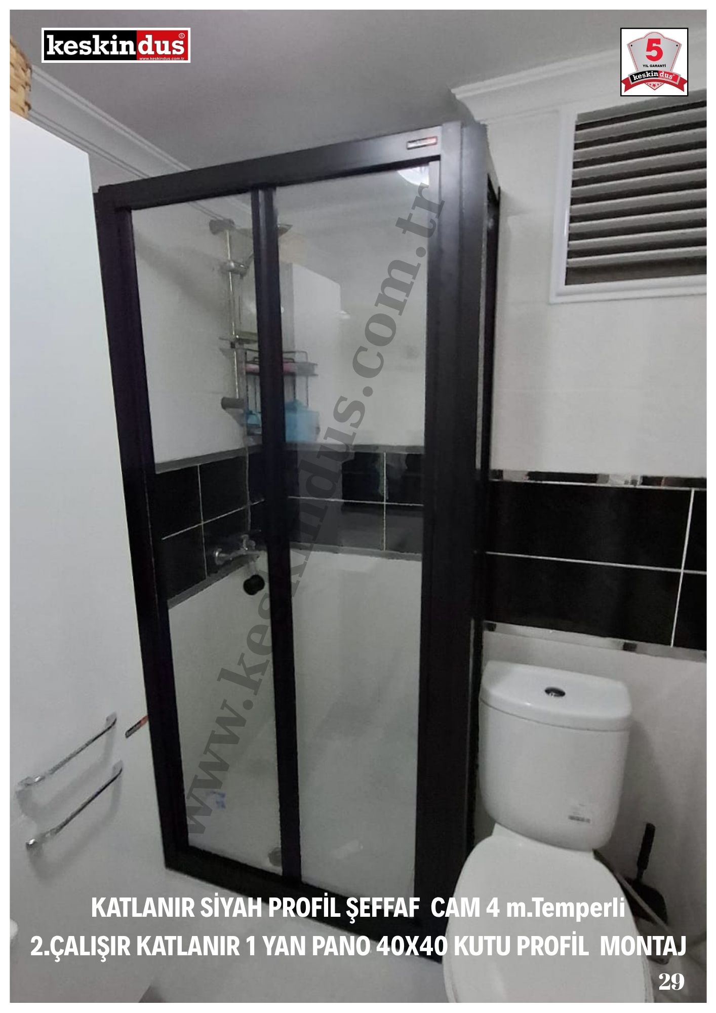 EURX Model 29.jpg